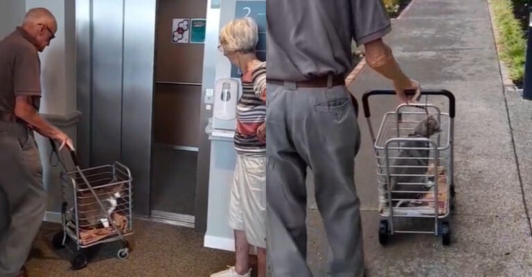 The tender daily encounter these 2 nonagenarians and their cat wouldn't want to miss for the world (video)

