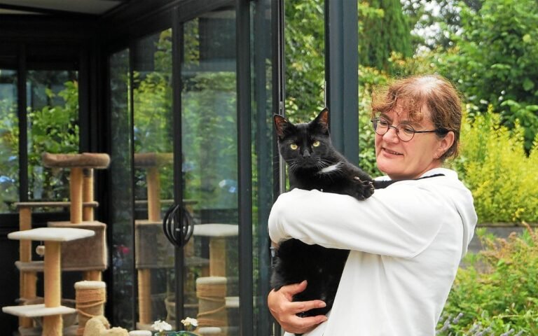 In Pluneret, Isabelle lends out her house and her twelve cats to tourists

