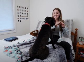 Illustration of the article: By opening her door to a shelter dog, this mother did not expect to bond with an animal suffering from the same heart anomaly as her daughter (video)