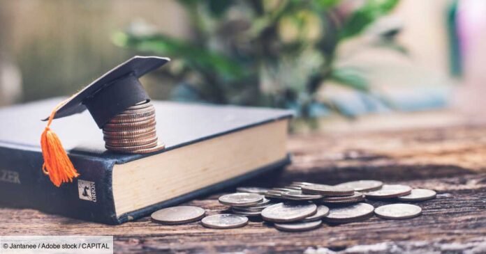 Student loans: characteristics and types

