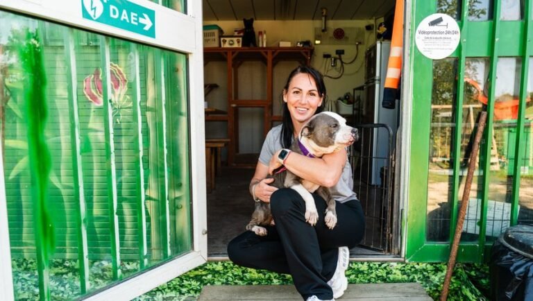 Overcrowded animal shelters are forced to turn away abandoned animals

