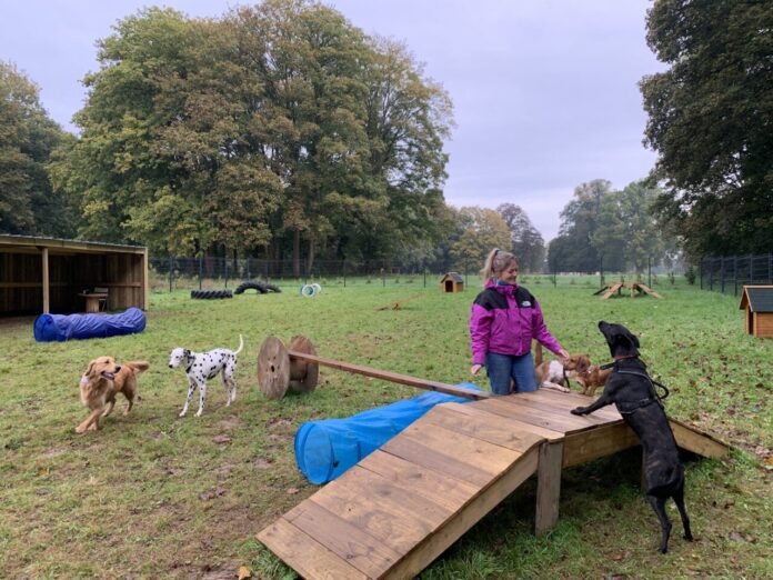 Unusual, near Rouen. Leave your dog in a kennel!

