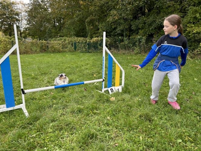 Alicia Massart and her dog Shelty have been training together for two years.