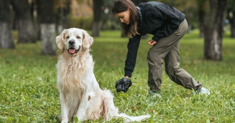 Near Nice, a village introduces DNA recording of dogs to combat dog litter

