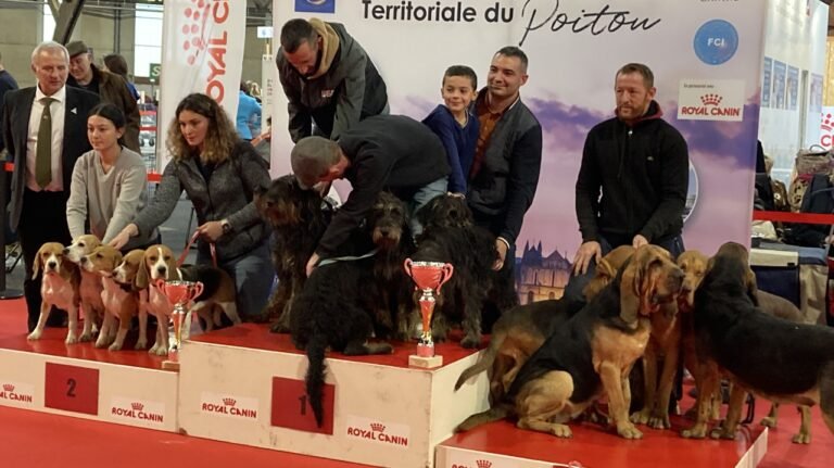 The champions have dogs at the Poitiers dog show

