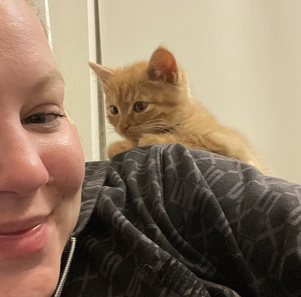 shoulder kitten warm