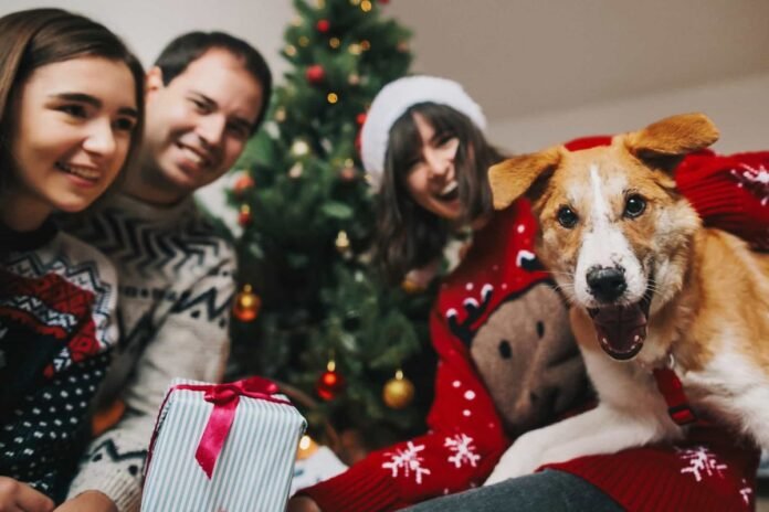 11 irresistible reasons to include your dog in any holiday party

