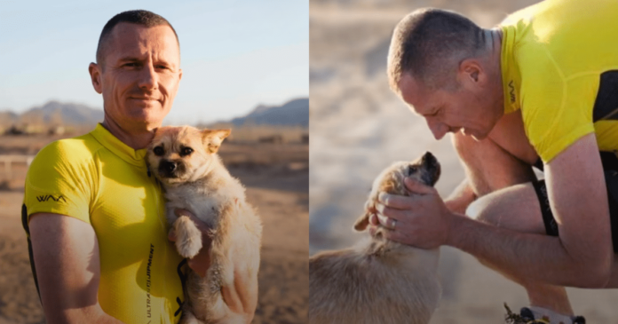 Dog joins the ultramarathon and runs into a loving family's heart

